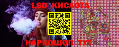 стаф Малгобек