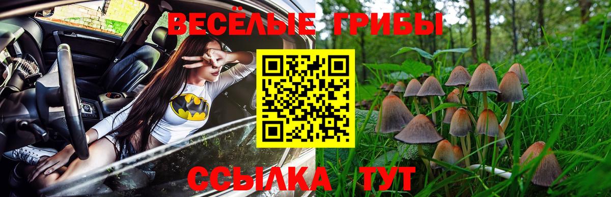 Галлюциногенные грибы Psilocybine cubensis Вышний Волочёк
